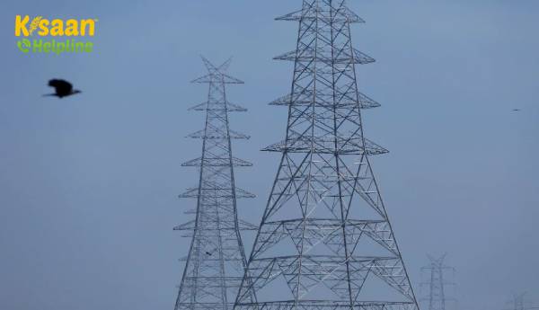 श्रीकाकुलम जिले में कृषि उपभोक्ताओं के लिए सरकार ने 'फ्री पावर' डीबीटी को वापस लाया